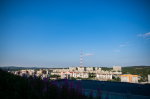 День приема предпринимателей
