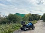 Информация о состоянии аварийности на территории Мурманской области за минувшие сутки