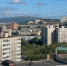 В субботу в Мурманской области до +24° - SeverPost.ru