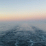 Воды Баренцева моря полностью очистились ото льда - ИА B-Port.Com