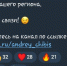 Чибис завёл канал в MAX - SeverPost.ru