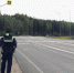 Федеральные дорожники, автоинспекторы и охотнадзор предупредили водителей об опасностях встречи с дикими животными - Murman.Ru