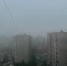 В Мурманском регионе подует западный ветер и пройдет дождь - ИА Nord-News.Ru