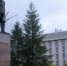 Ко Дню города жителям Мончегорска готовят сюрпризы - SeverPost.ru