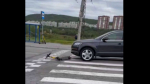 В Мурманске автомобиль сбил самокатчика на Ломоносова