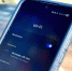 Кот Семён в Мурманске обзавёлся точкой бесплатного Wi-Fi - Арктик-ТВ