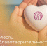 Эндаумент-фонд «Кольский» проводит «Месяц благотворительности» для жителей Печенгского округа и Мончегорска - КП Мурманск