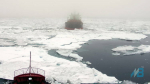 На Севморпуть выйдут 10 новых сухогрузов