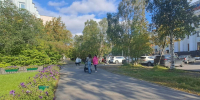 На неделе северян ждут дожди и до +22° - SeverPost.ru