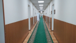 Мурманская Дума намерена отстаивать свой закон о бродячих животных