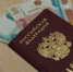 Более 250 самозанятых жителей Заполярья позаботились о своей будущей пенсии - ИА Nord-News.Ru