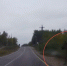 На трассу под Никелем выбегают лоси [видео] - SeverPost.ru