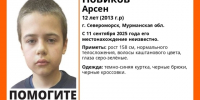 В Североморске ребенок не вернулся из школы - Мурманский вестник