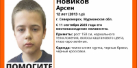 12-летний школьник без вести пропал в Североморске - SeverPost.ru