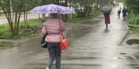 Заполярные синоптики про погоду в выходные: Порывистый ветер и дождь - SeverPost.ru