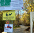 Подрядчика благоустройства мончегорского парка прокуратура взяла на карандаш - SeverPost.ru