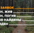 Найден, жив: за сентябрь в Мурманской области волонтеры нашли 14 пропавших без вести - ИА Nord-News.Ru