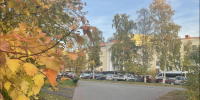 Пропавшую  в Мурманске девушку нашли - SeverPost.ru