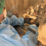 Итоги работы диагностического отдела по карантинным и особо опасным болезням животных (безвозмездные государственные услуги) за 3 квартал 2025 года. - ГОБВУ Мурманская облветлаборатория
