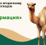 Юные экологи из Мурманской области вышли в финал III Всероссийского детского экологического форума - Правительство Мурманской области