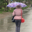 В воскресенье на Кольском полуострове целый день будут лить дожди - SeverPost.ru