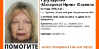 В Мурманской области пропала 63-летняя женщина - КП Мурманск