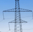 «Россети» о ловозерском фермере: Он сам не донёс - SeverPost.ru