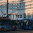 Северяне пожаловались на переполненный транспорт. В автобусы просто не влезть - Телекомпания ТВ-21
