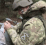 Нет у противника шансов - Мурманский вестник