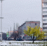 Завершены поиски 41-летней апатитчанки - Мурманский вестник