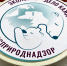 Награждены призеры и участники V сезона Международной детско-юношеской премии «Экология — дело каждого» - Росприроднадзор