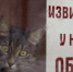 Гострудинспекция Мурманской области рассказала, как легально сократить рабочий день - КП Мурманск