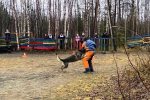 Кинологи апатитского СИЗО-2 отличились на областном чемпионате по спортивно-прикладному собаководству