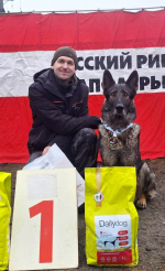 Кинологи апатитского СИЗО-2 отличились на областном чемпионате по спортивно-прикладному собаководству
