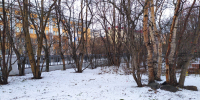 Прогноз погоды в Мурманске на 13 ноября - Murman.Ru