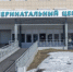 В Заполярье женщины проверяются на детородность активнее мужчин - SeverPost.ru