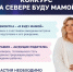 Стартовал конкурс «На Севере буду мамой!» - Город Мурманск