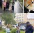 Природоохранная прокуратура разъясняет ответственность владельца домашнего животного за выгул питомца без сопровождения - ГОБВУ Мурманская облветлаборатория
