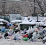 Мурманск продолжает тонуть в мусоре - SeverPost.ru