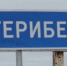Вышедший на трассу лось спровоцировал аварию в Териберке - SeverPost.ru