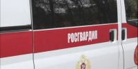 Мурманчанка залила спиртным компьютер в ресторане - SeverPost.ru