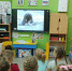 День моржа в детском саду - Детско-юношеская библиотека