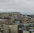 Странные семена обнаружили в Мурманске - Телекомпания ТВ-21