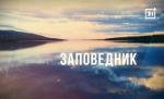 Заповедник: «СевМорСубботник» -2025. Часть 2
