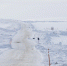 Дороги на Териберку и Туманный открыли - КП Мурманск