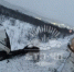 На печенгской дороге перевернулся бензовоз - SeverPost.ru