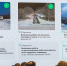 Губернаторский контроль продолжает проверять качество работ в муниципалитетах и выполнение поручений главы региона - Правительство Мурманской области
