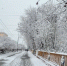 Из-за норвежского циклона в Мурманской области тепло и снежно - ИА Nord-News.Ru