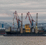 Перевозки рыбной продукции по Севморпути должны стать регулярными - ИА B-Port.Com