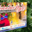 Подарим детям новогоднее чудо: в Мурманской области собирают подарки для ребятишек из социальных центров - ИА Nord-News.Ru